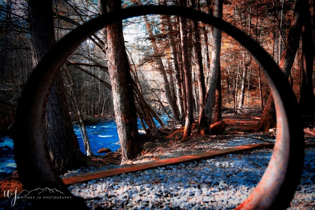 Elkmont Great Smoky Mountains National Park
