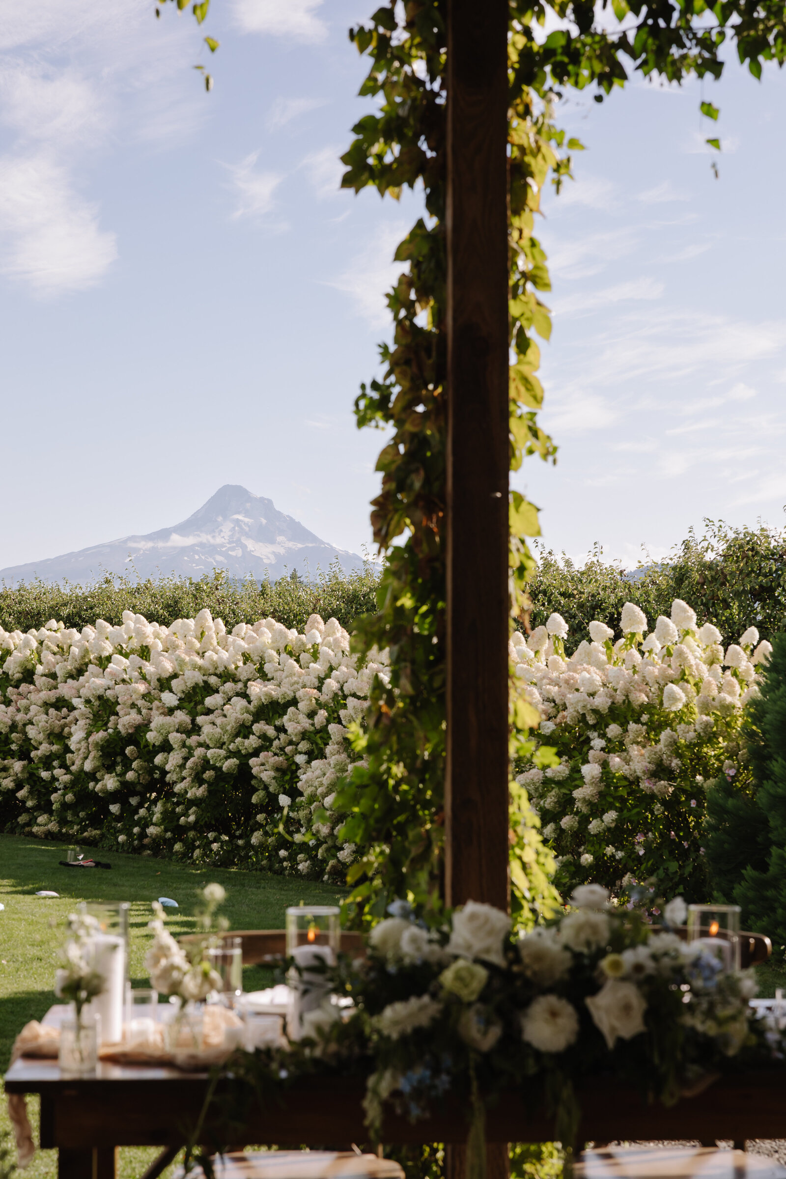 The Orchard Wedding Hood River-Maegan and Carter-137