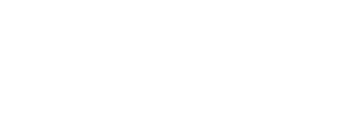 Holstein