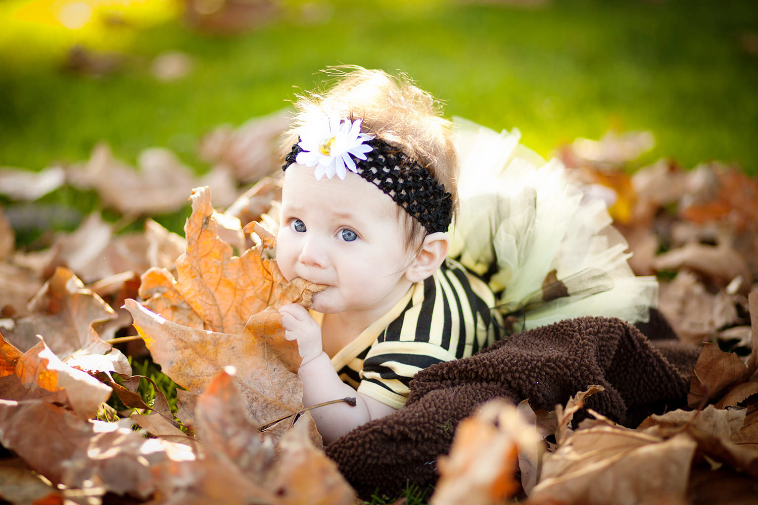 san diego family photography | little girl throwing leafs
