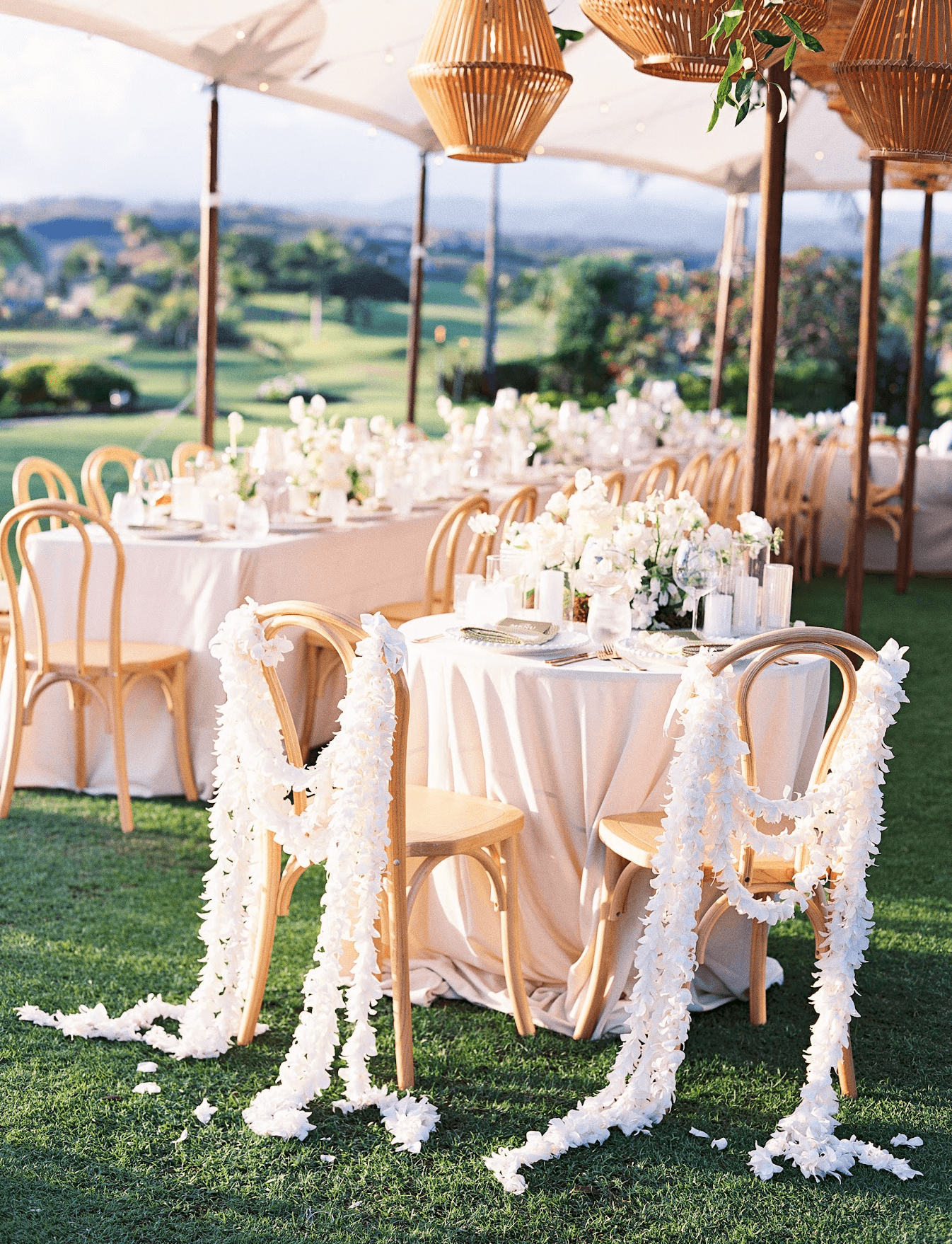 Screenshot 2025-11-25 at 11.33.14 AM