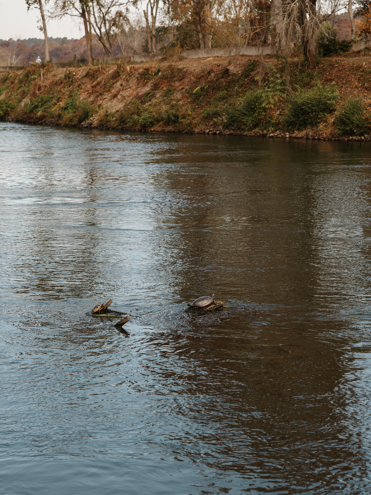 Couples-Session-Savannah-Rapids-Augusta-Ga-KateLens-Photography-38