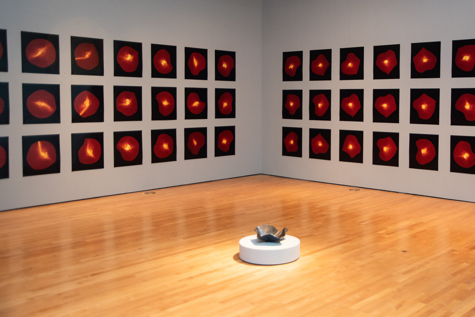 Hilliard-Art-Museum-September-2023-Exhibitions-Hannah-Louise-Photography-244