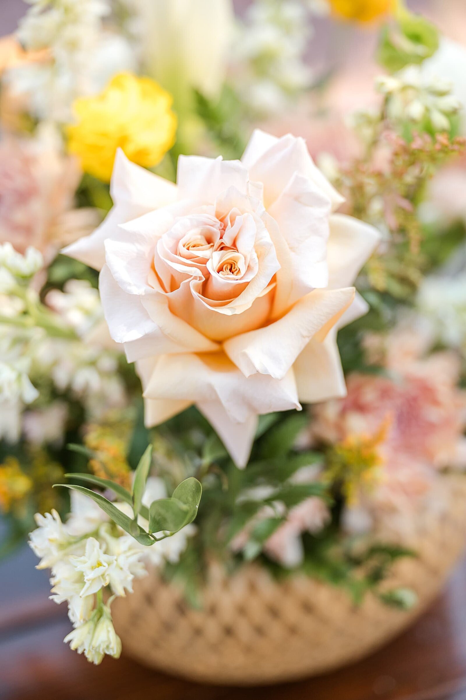 Phoenix-Wedding-Photographer-and-Videographer-Venue-at-the-Grove-VATG-1275