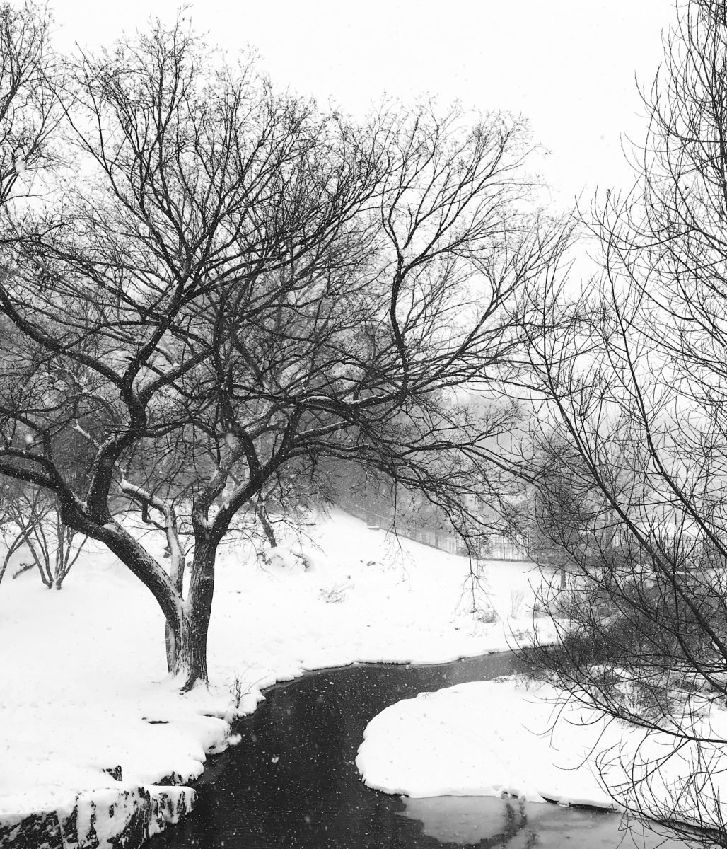 nyc-snow-photos-19