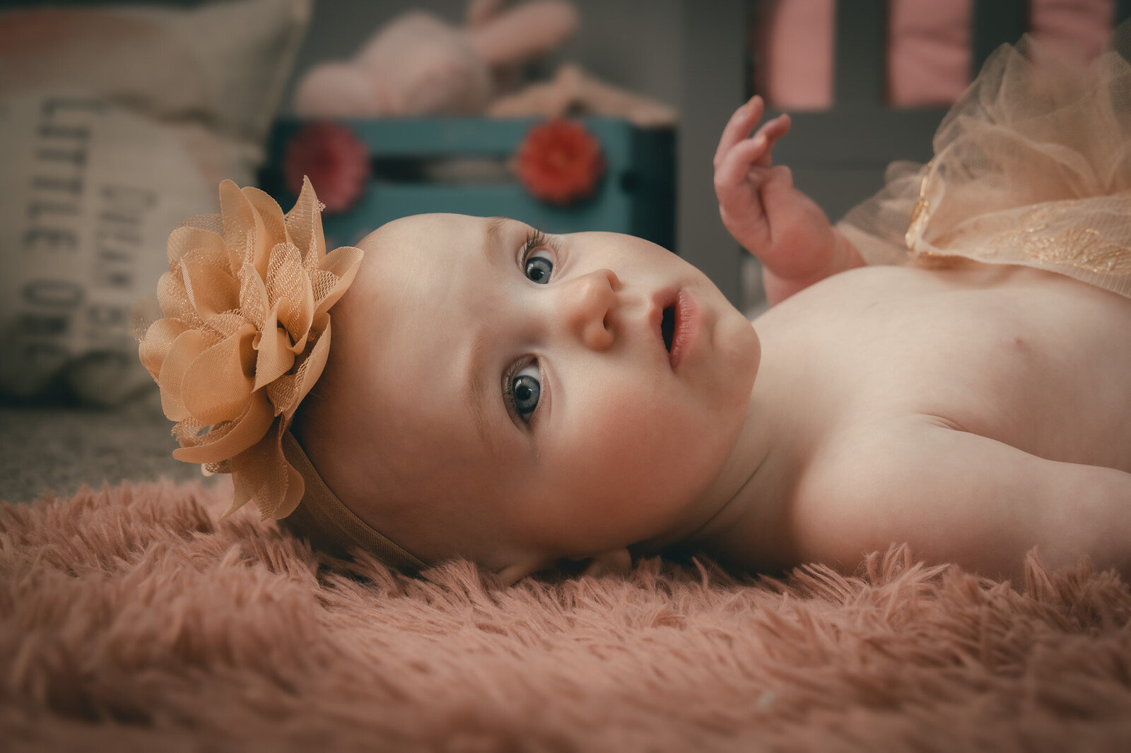 baby milestone portrait in kansas city 3