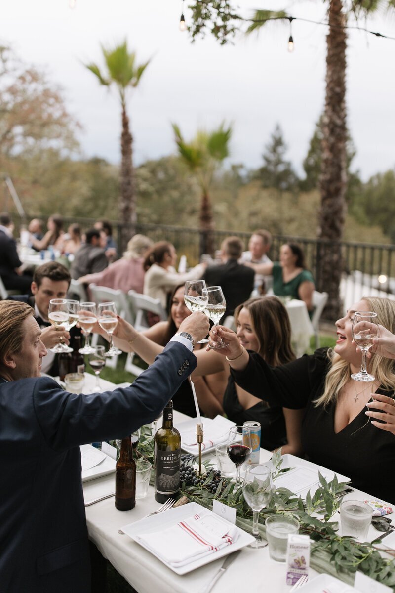 Wedding party raising glasses for toast by best washington elopement photographer Erica Rochelle Photography