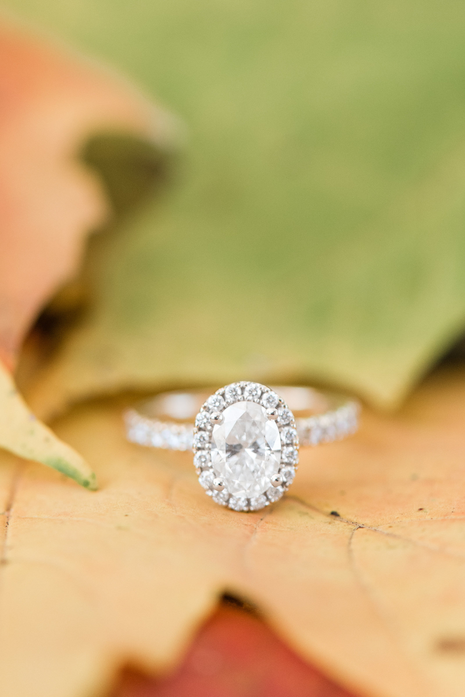 oval-diamond-engagement-ring-fall-leaves-photo849