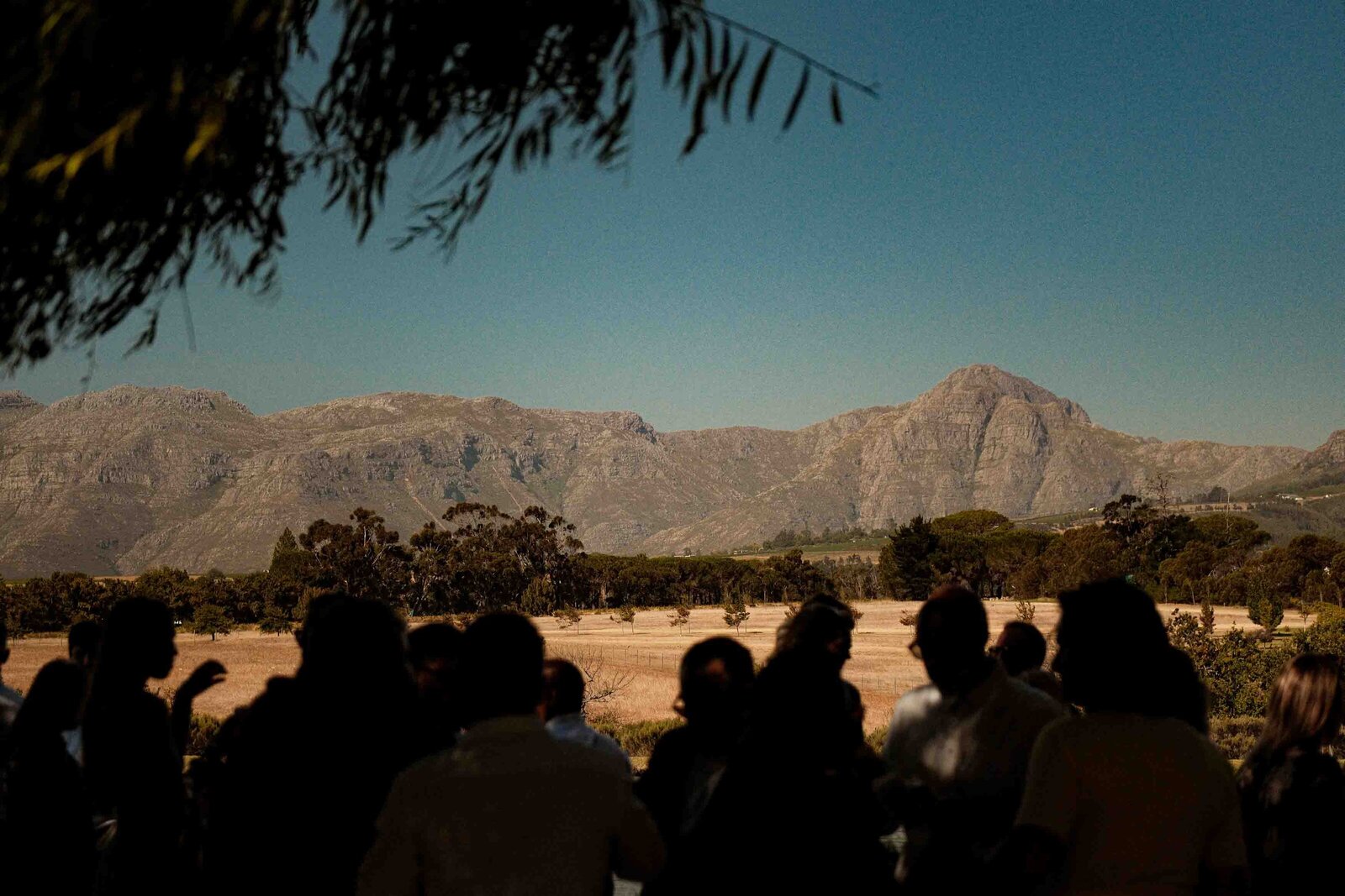 Destination-Wedding-Photographer-Cape-Town-FOMO-Fotografie-107