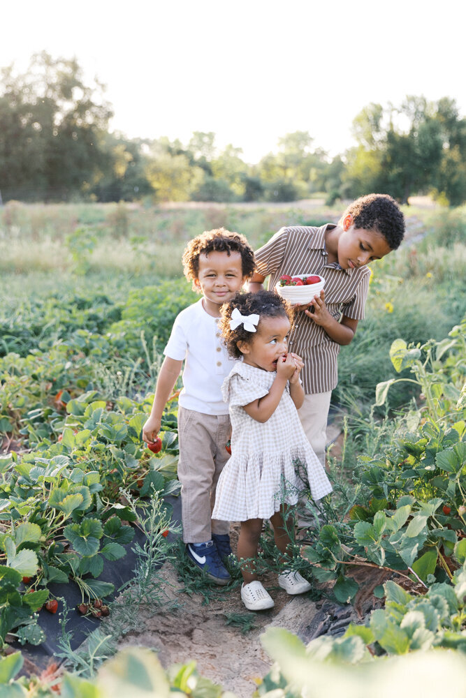 Kid_Activities_Sacramento-kelsey-krall-photography-29