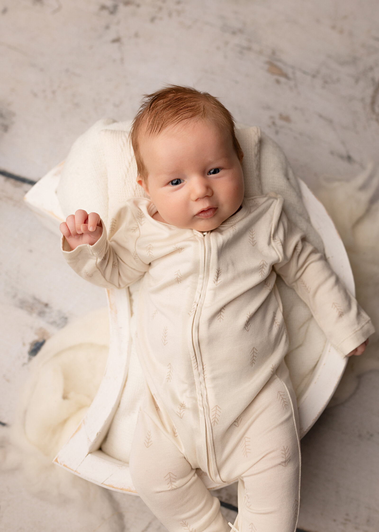 CharlotteBabyPhotographerNC