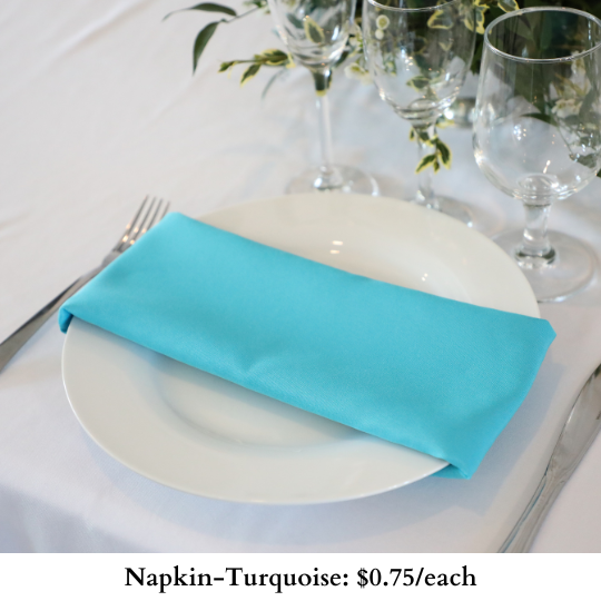 Napkin-Turquoise-595