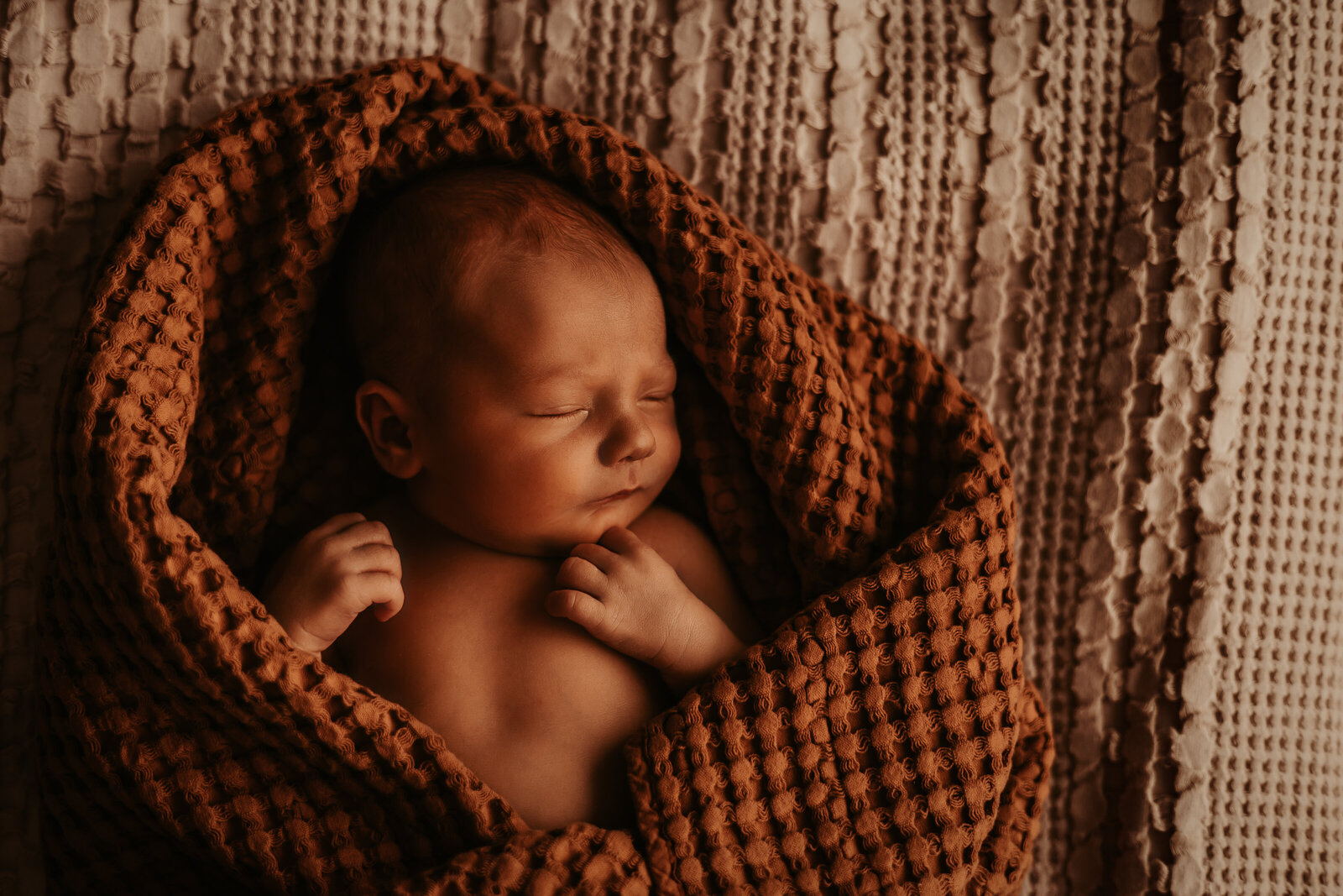 newborn photographer minneapolis minnesota - amanda nicholle photogrphy