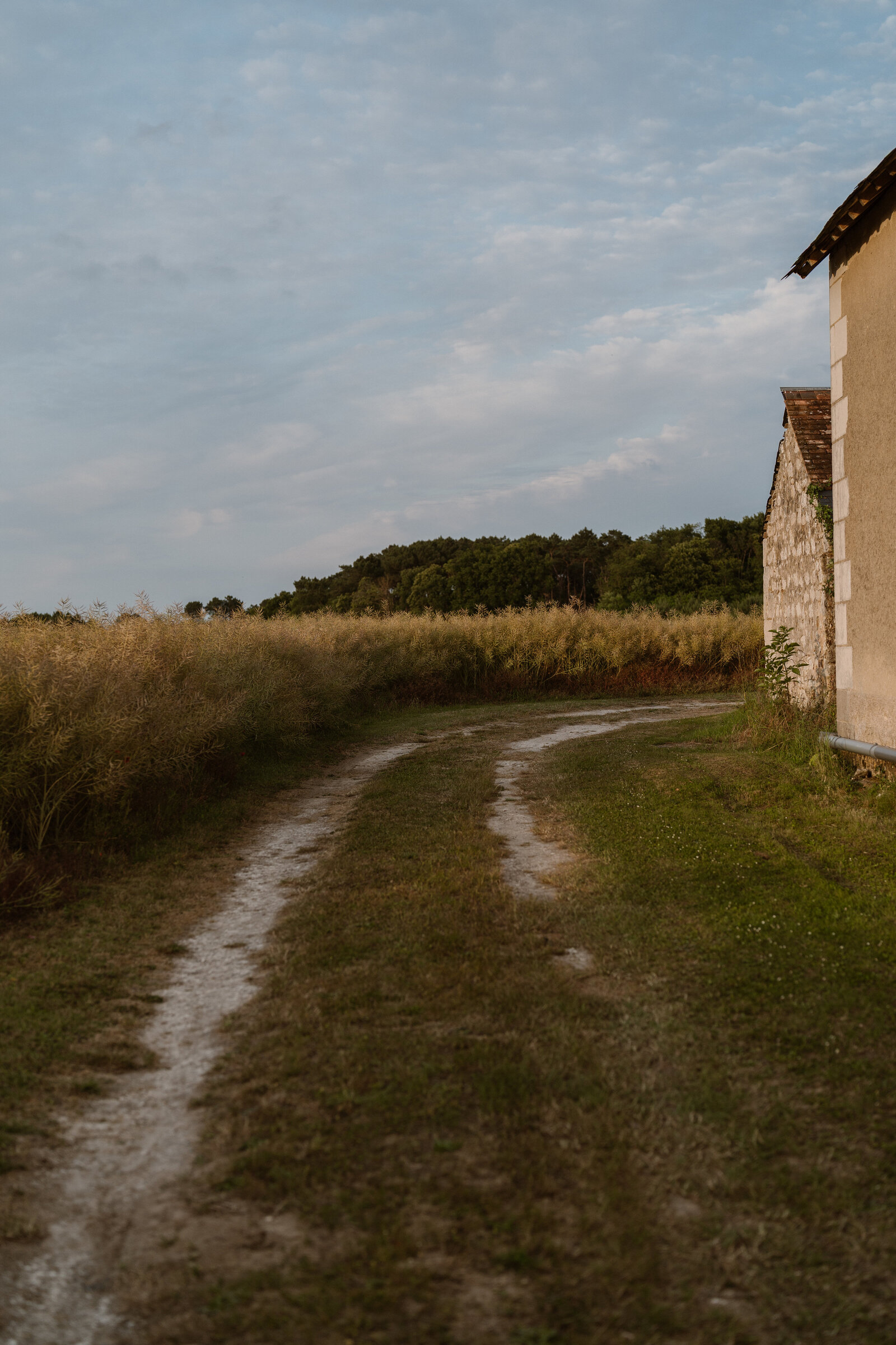 Daphnebaronfotografie-109