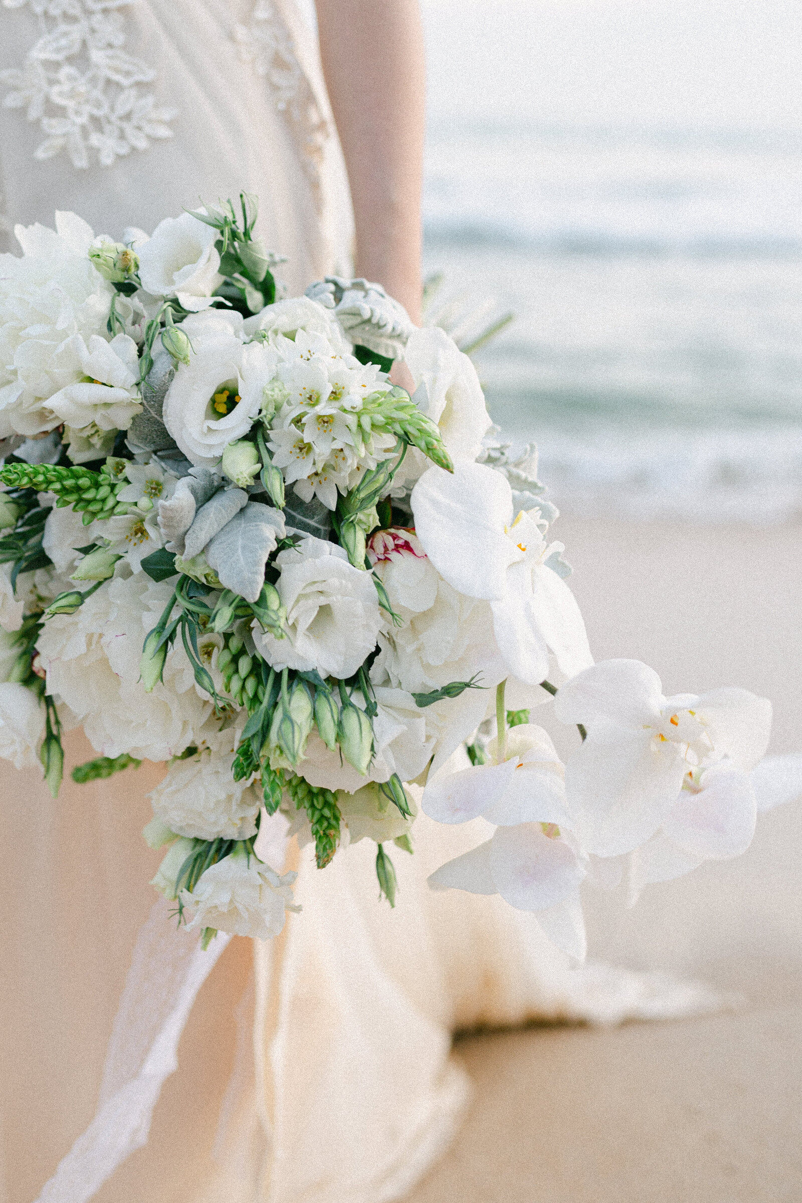 victoriamphotography11