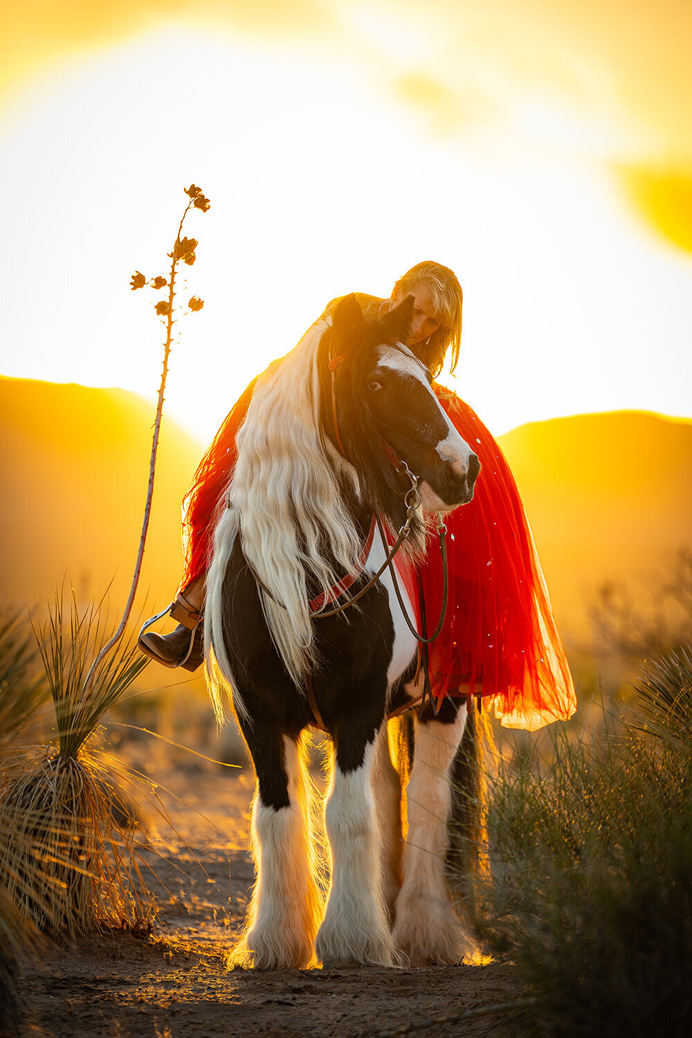 New-Mexico-Horse-Photographer-040