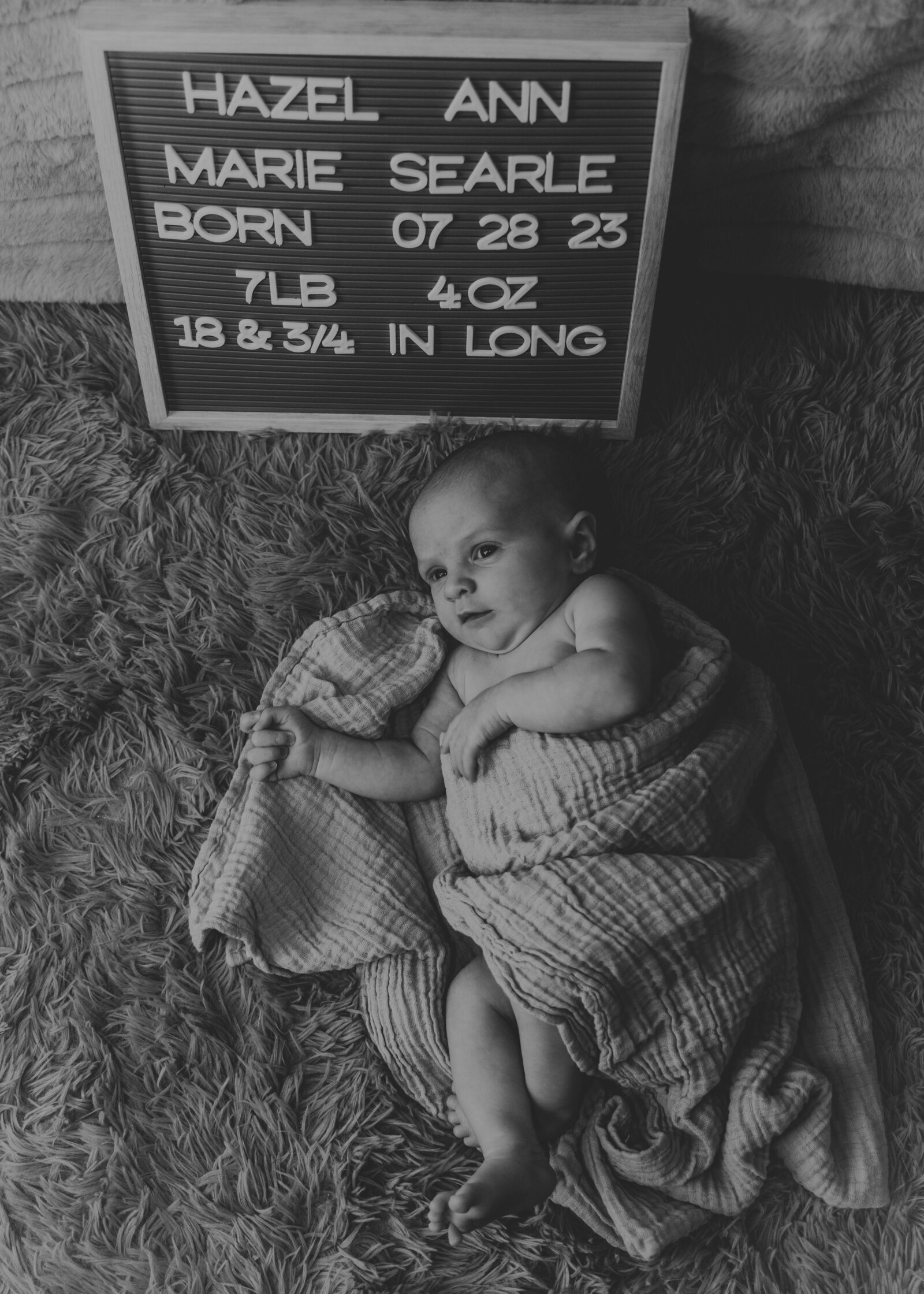 Kansas City Newborn Portraits 2