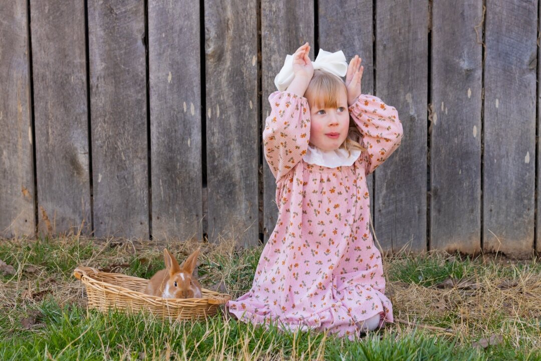 Bunny_Mini_Sessions