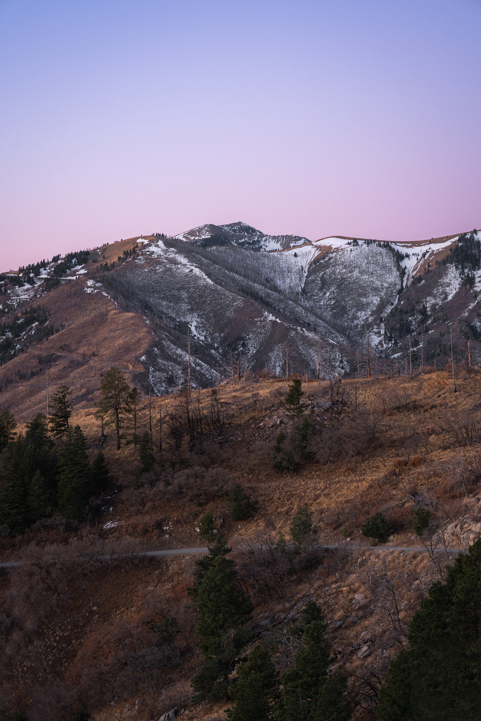 Discover-Ruidoso-Winter-Travel-Photographer-Erin-Donahue-Photography-Niredonahue (1)