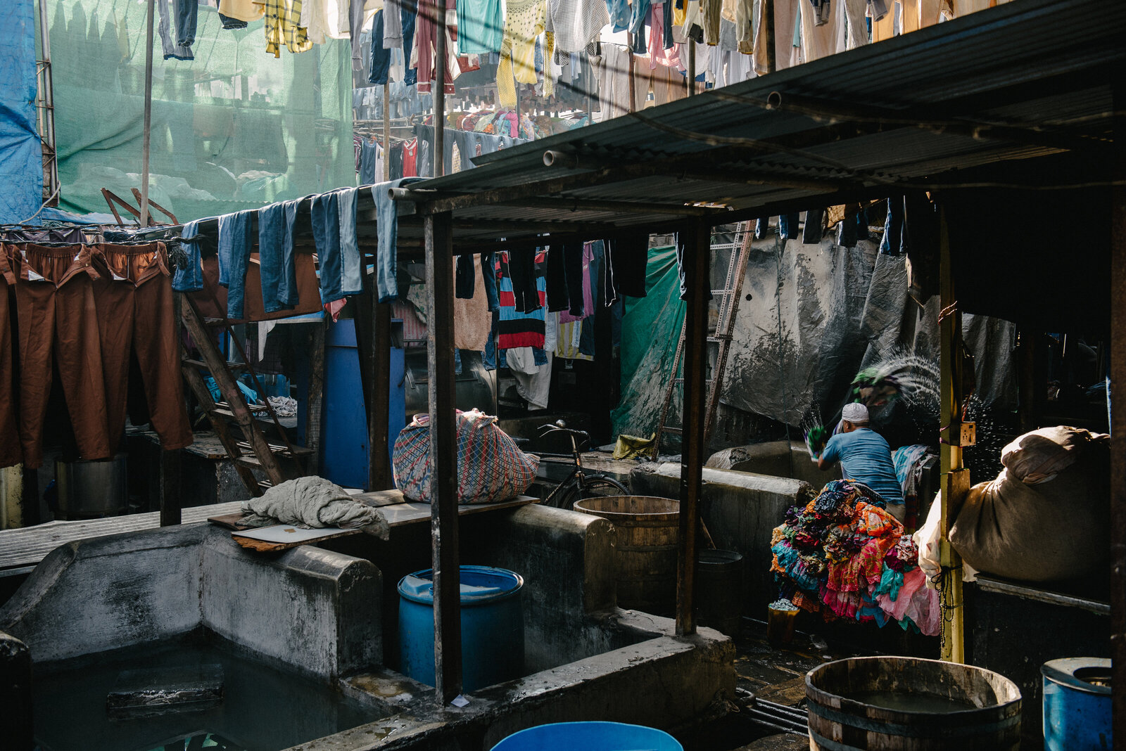 india009