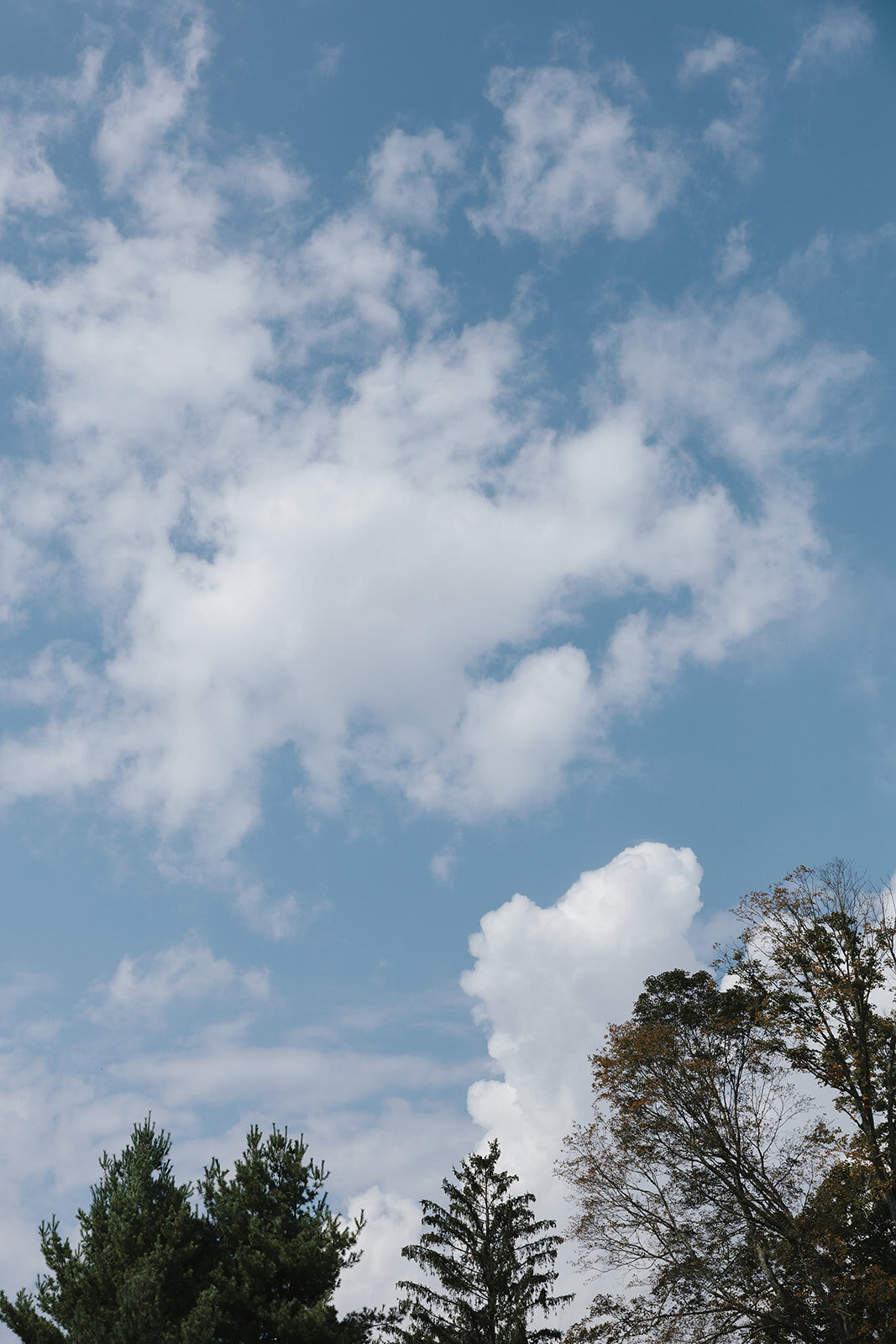 Mayflower-Inn-Garden-Tented-Wedding 19
