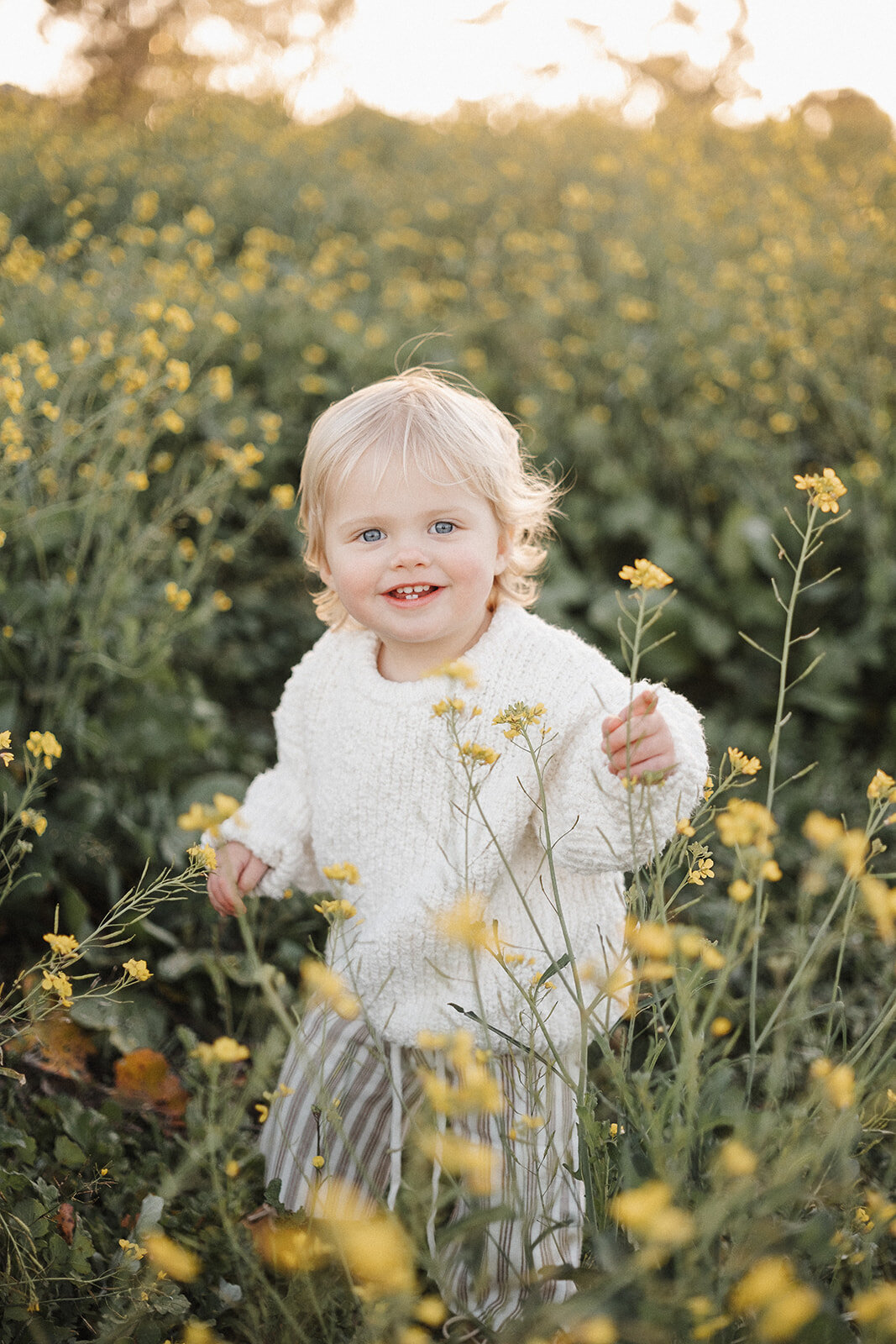 outdoor family photographer Melbourne in wildflowers