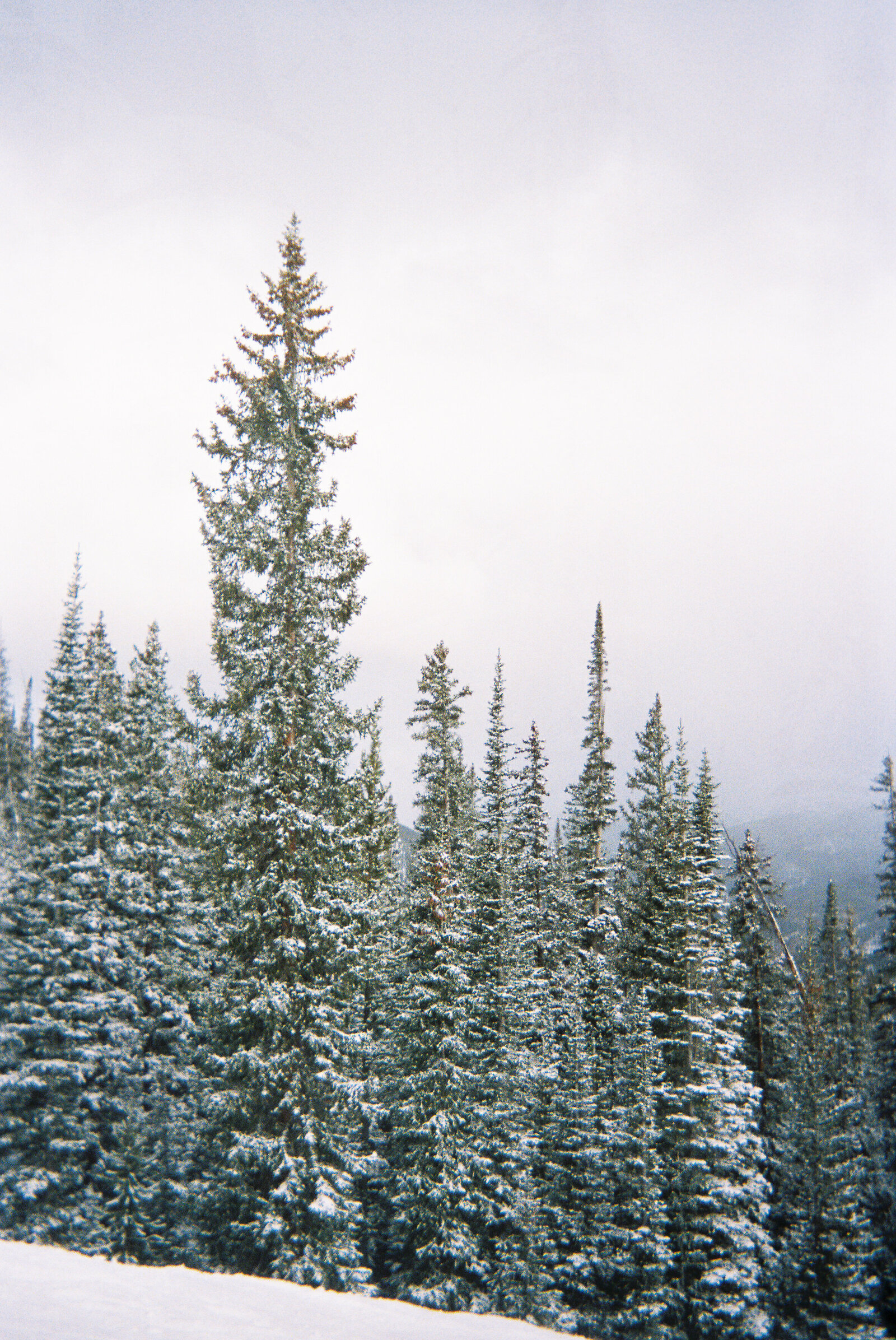 colorado000032-R1-032-14A