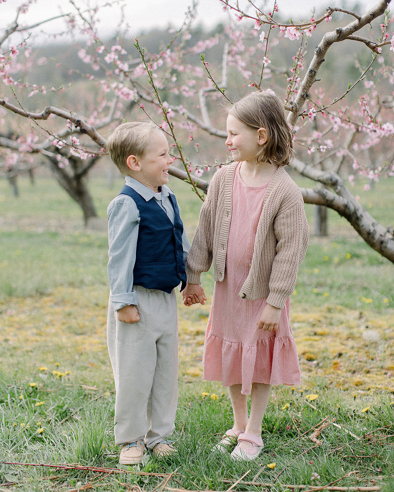 Siblings holding hands and smiling at each other in a spring apple orchard by NH newborn photographer Fieldstone Studio.