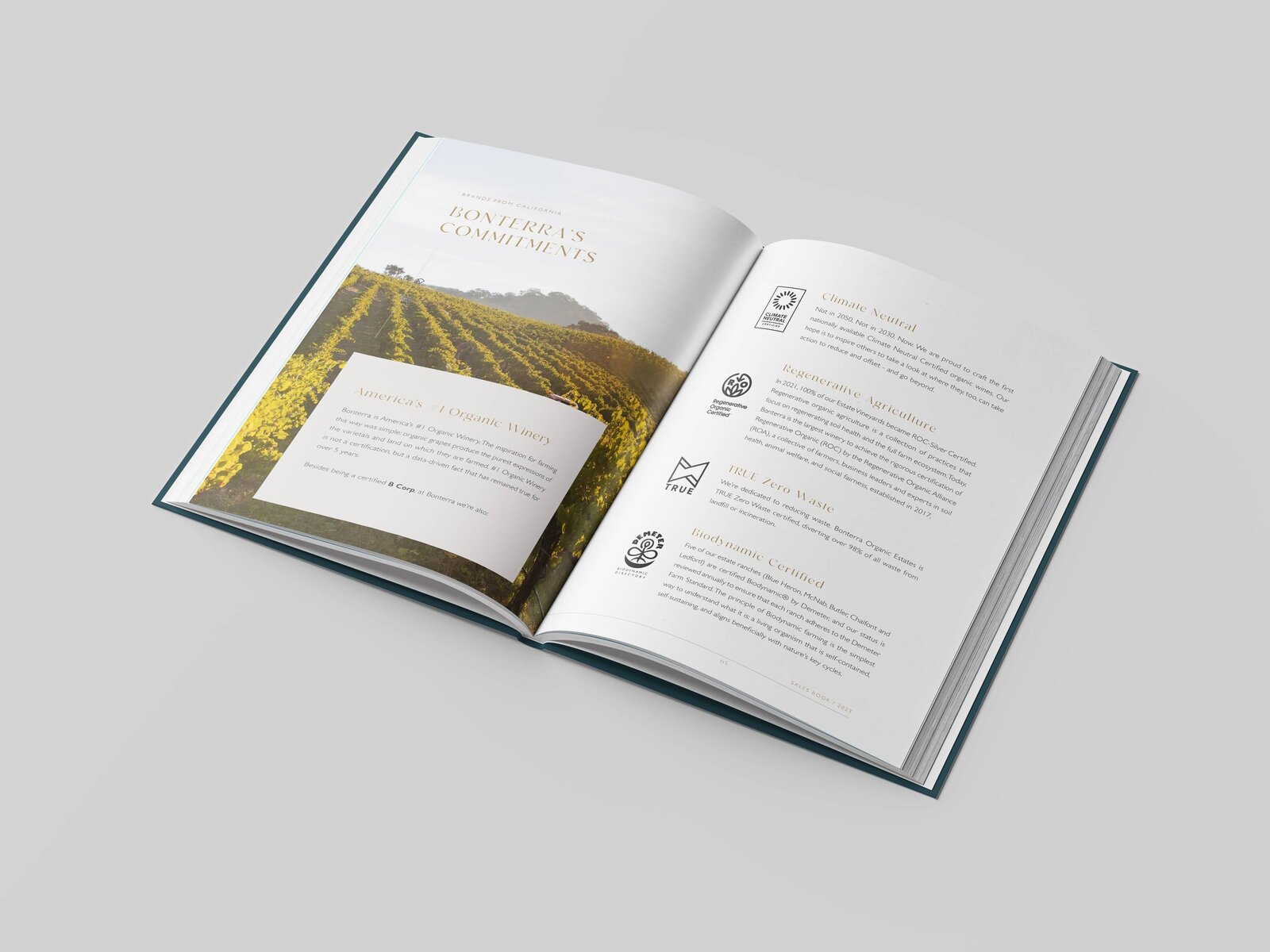 origin-book-2