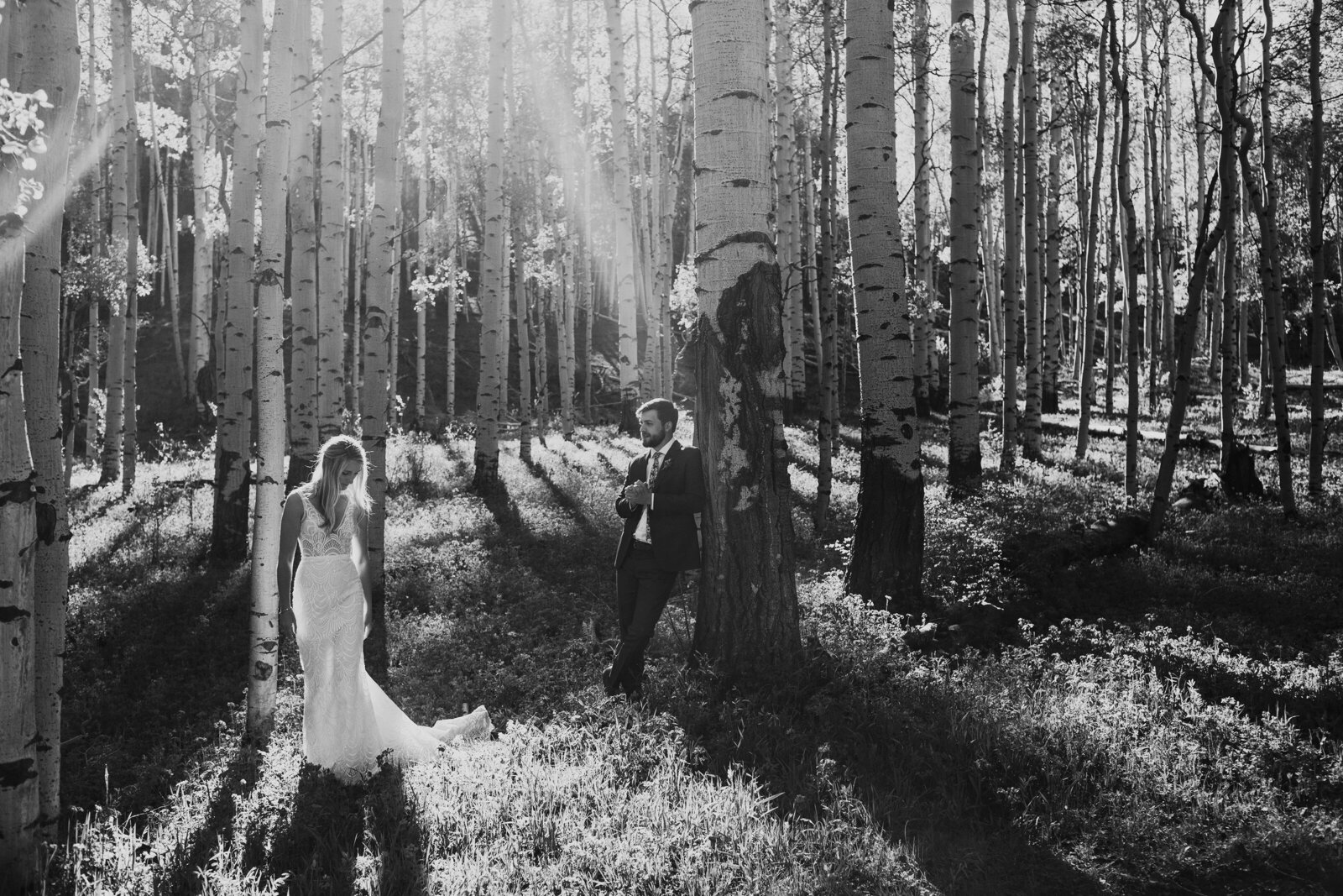 aspen tree wedding telluride
