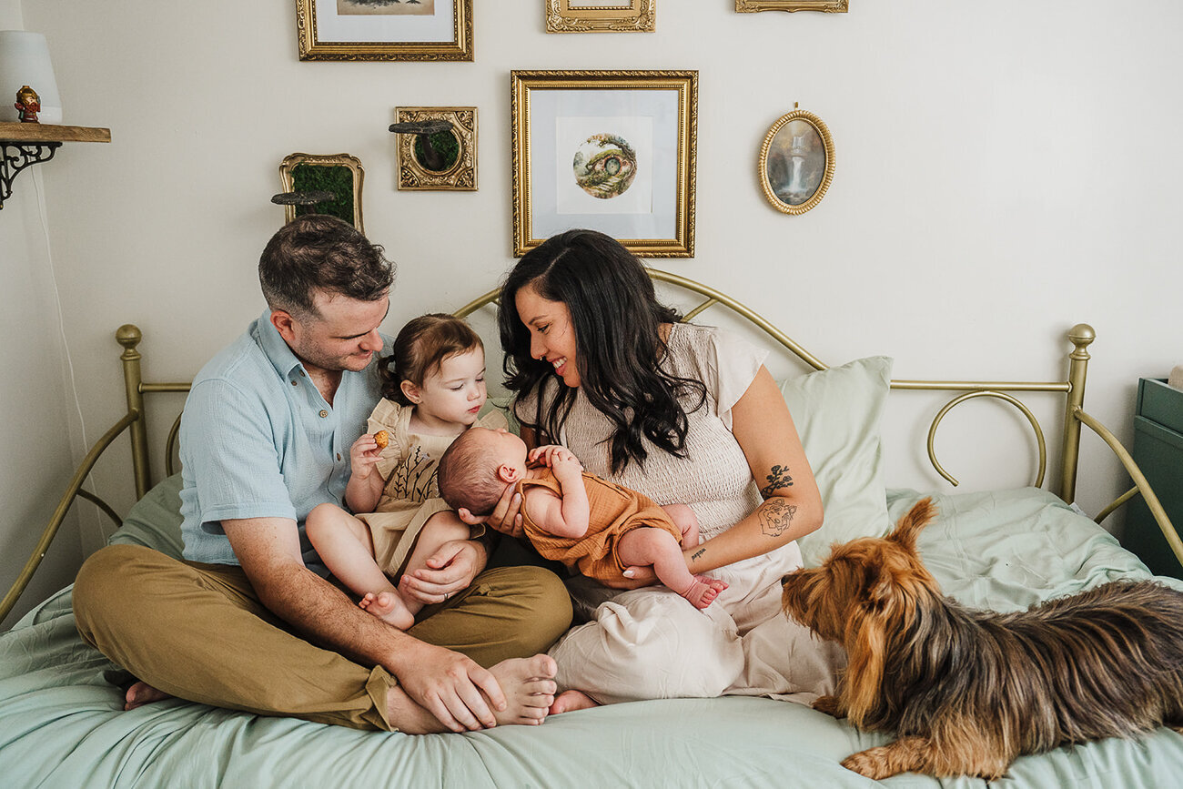 family sits on day bed with new baby, toddler and dog during boston newborn photos