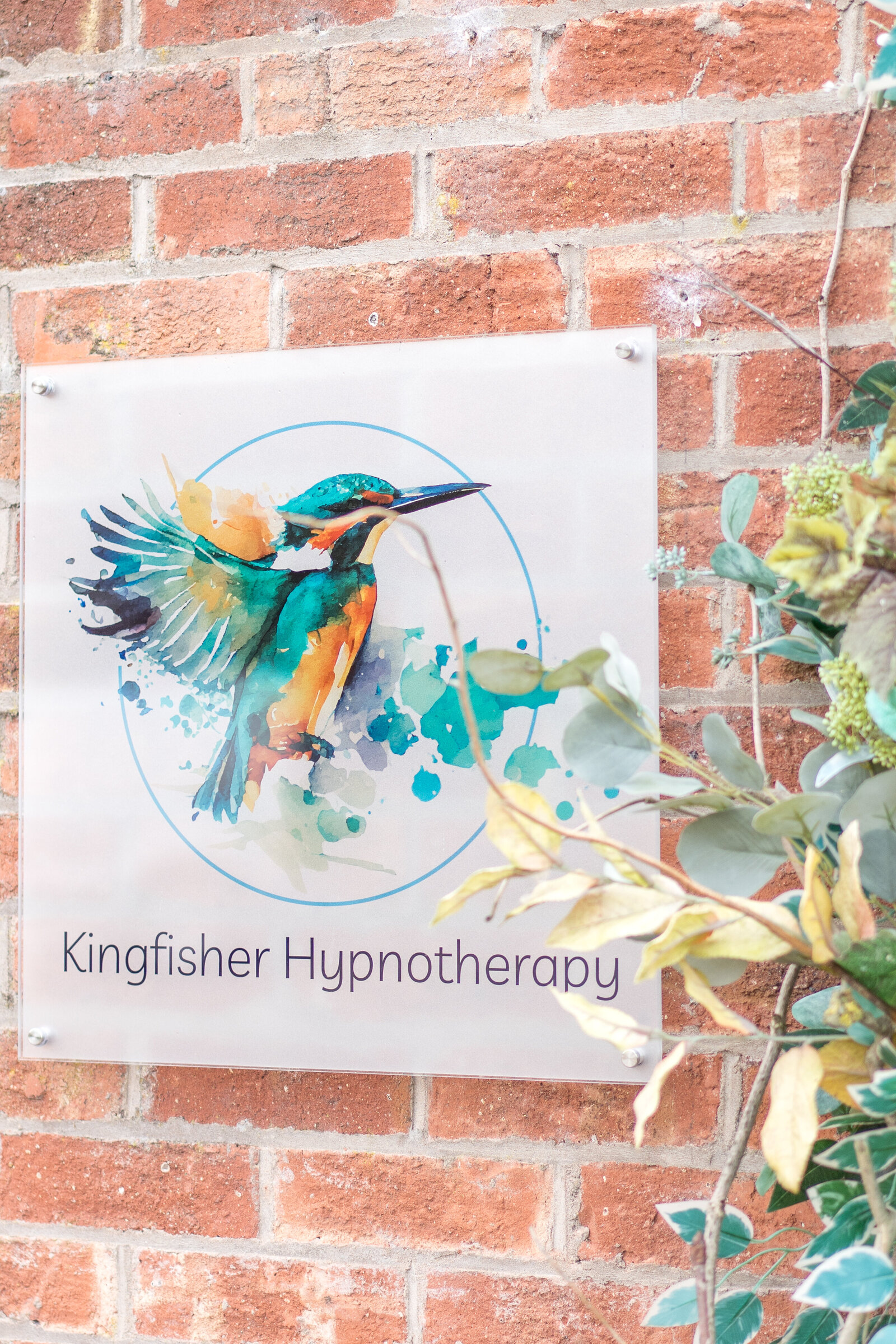 KingfisherHypnotherapy-30