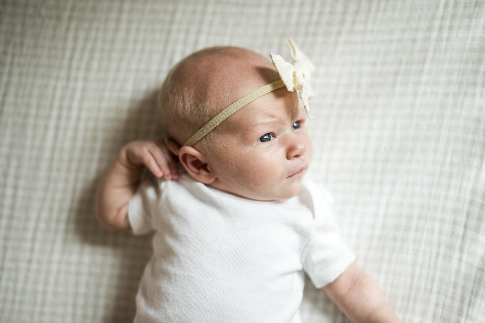 Charlotte-2
