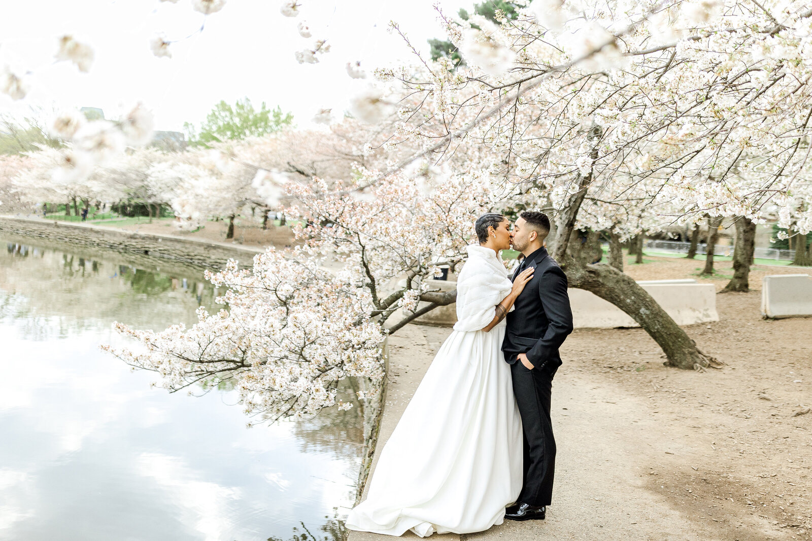 cherry blossom wedding at washington dc