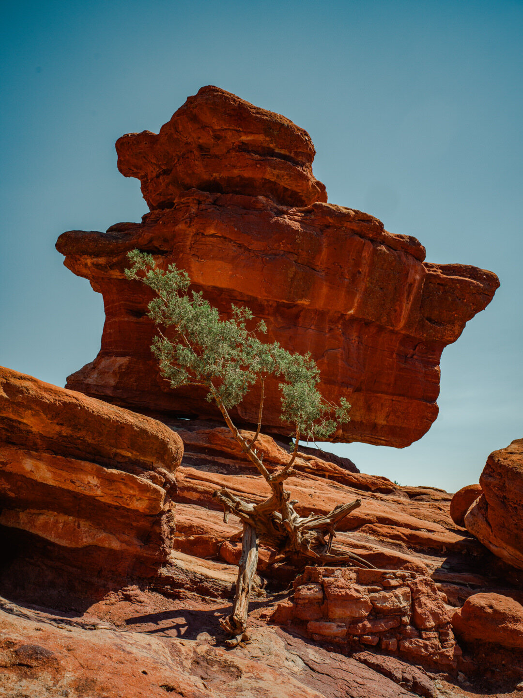 Resolute Territory - Landscape Fine Art Prints - 3