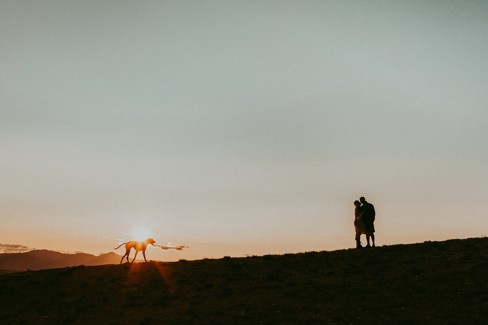 couples-sunset-with-dog -653