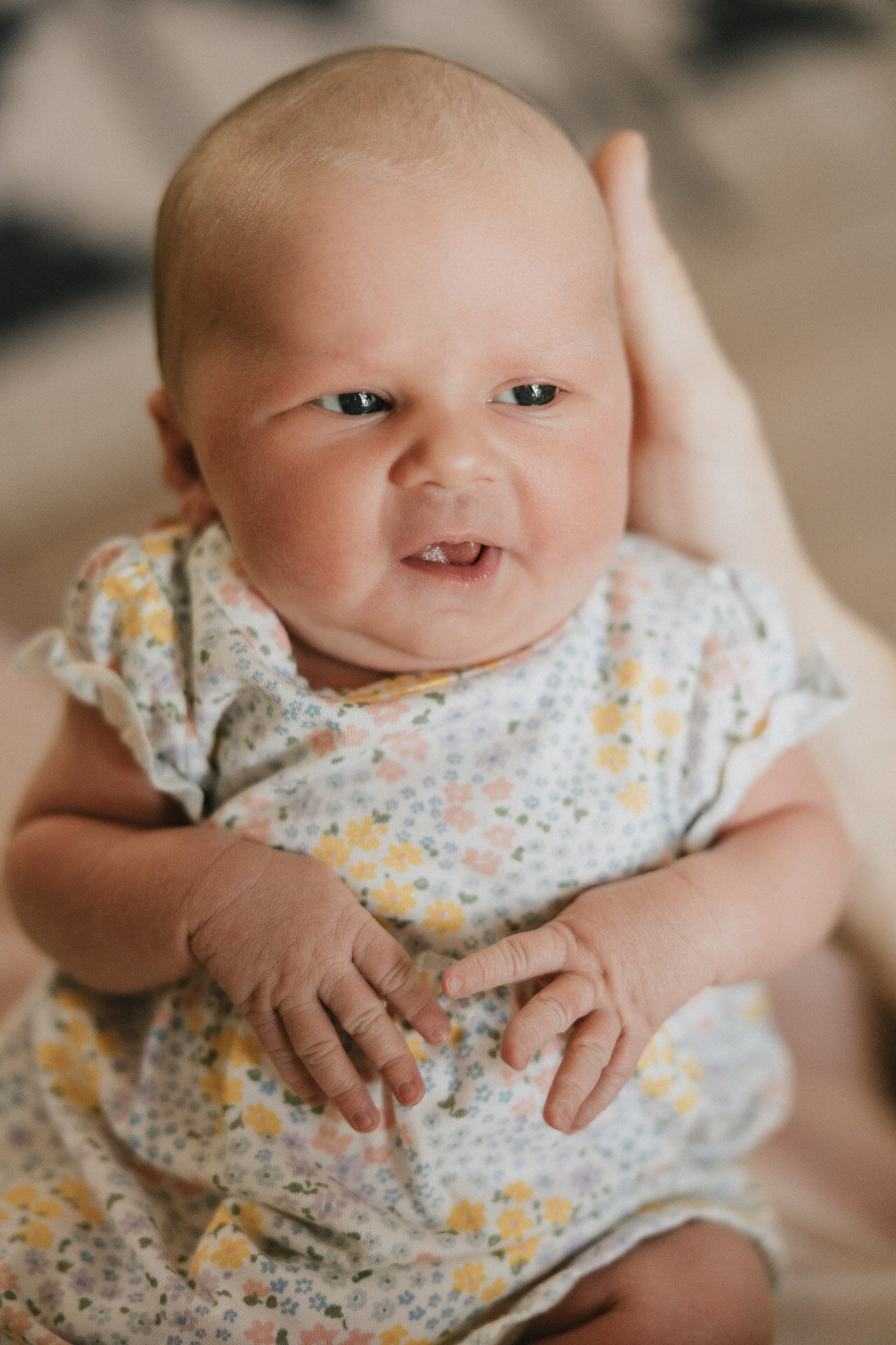 nj-family-photographer-alicia-seeley-60