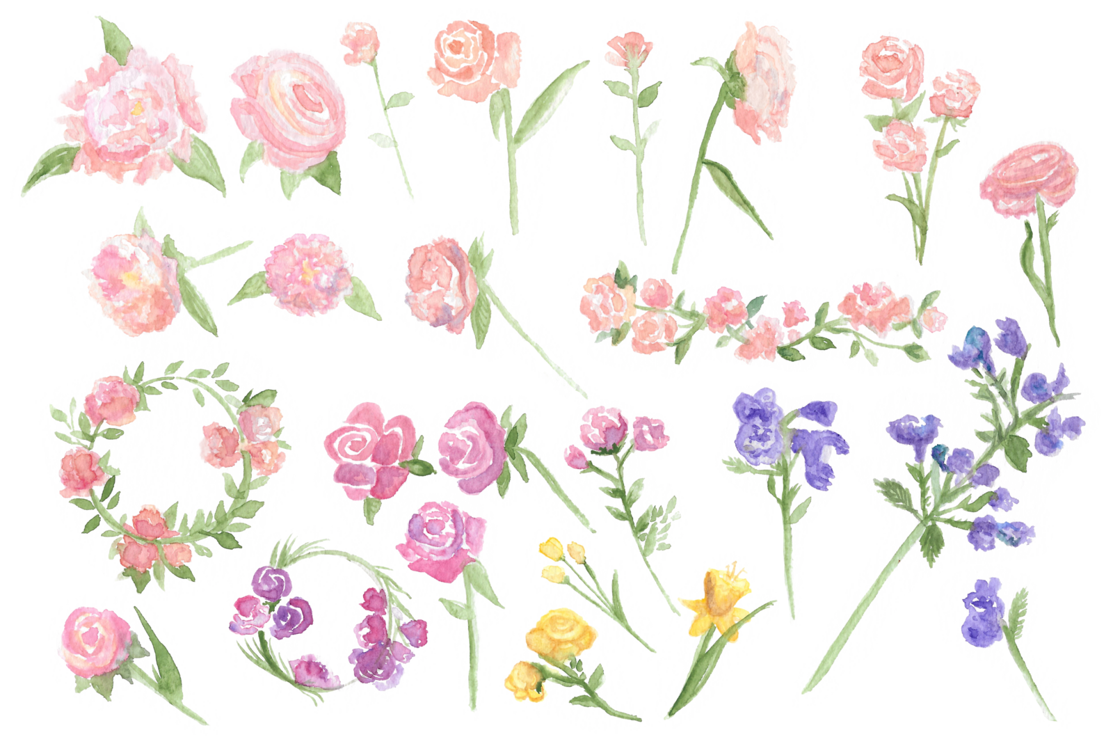 Watercolor Florals Part 3 All images Preview