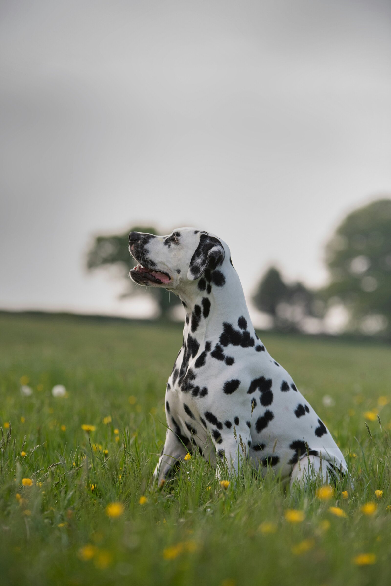 lorren-loki-b1zFbTIOMHs-unsplash