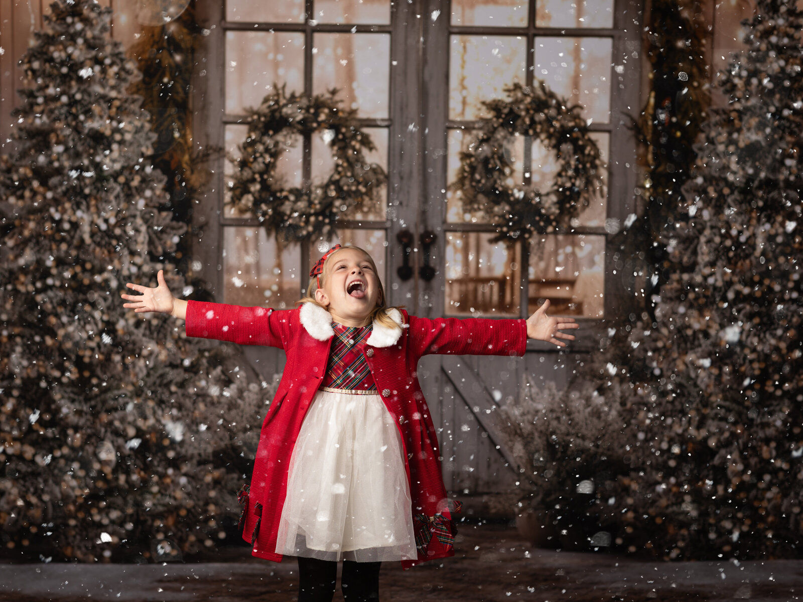 Cleveland-Christmas-minis-104
