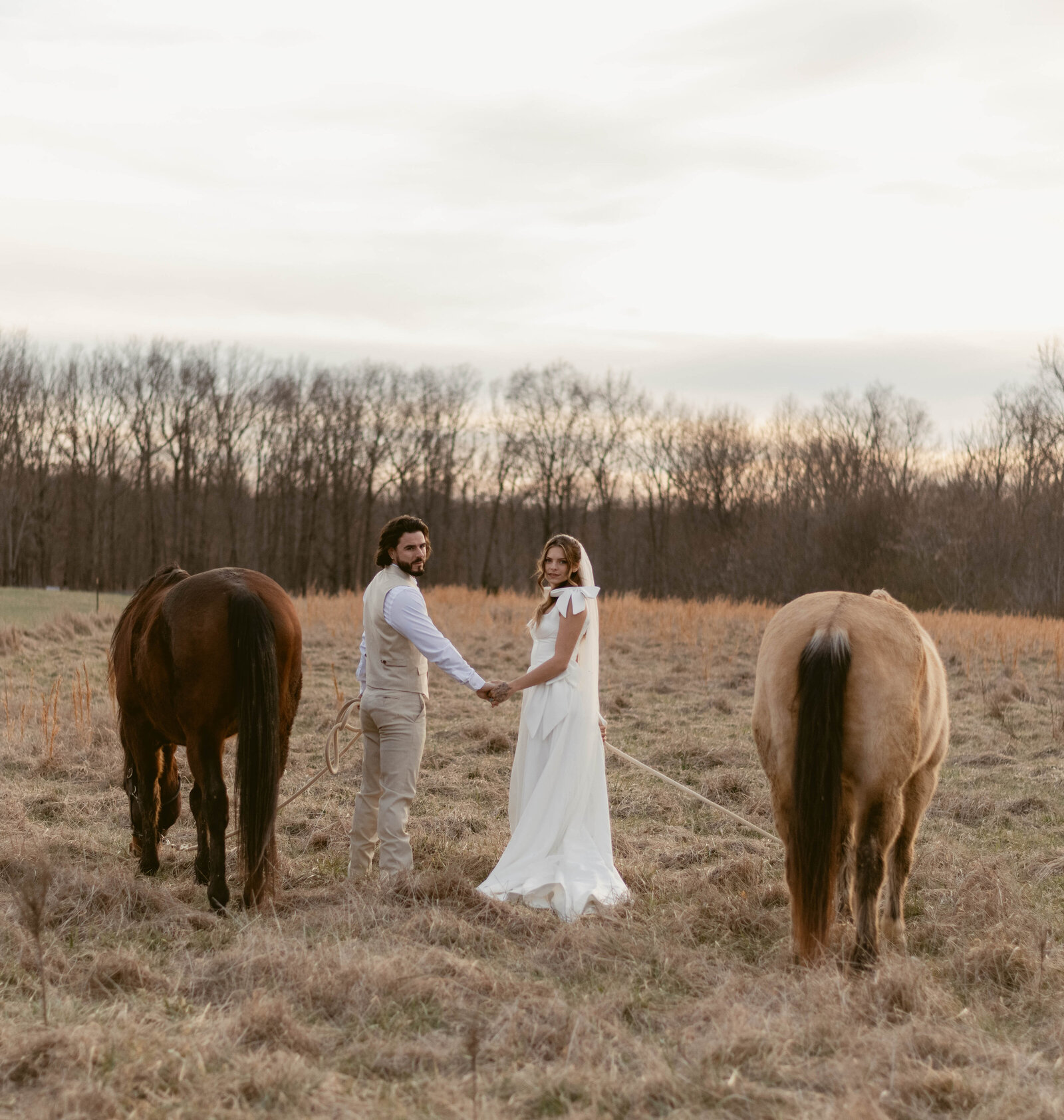 bridehorse5 (1 of 1)