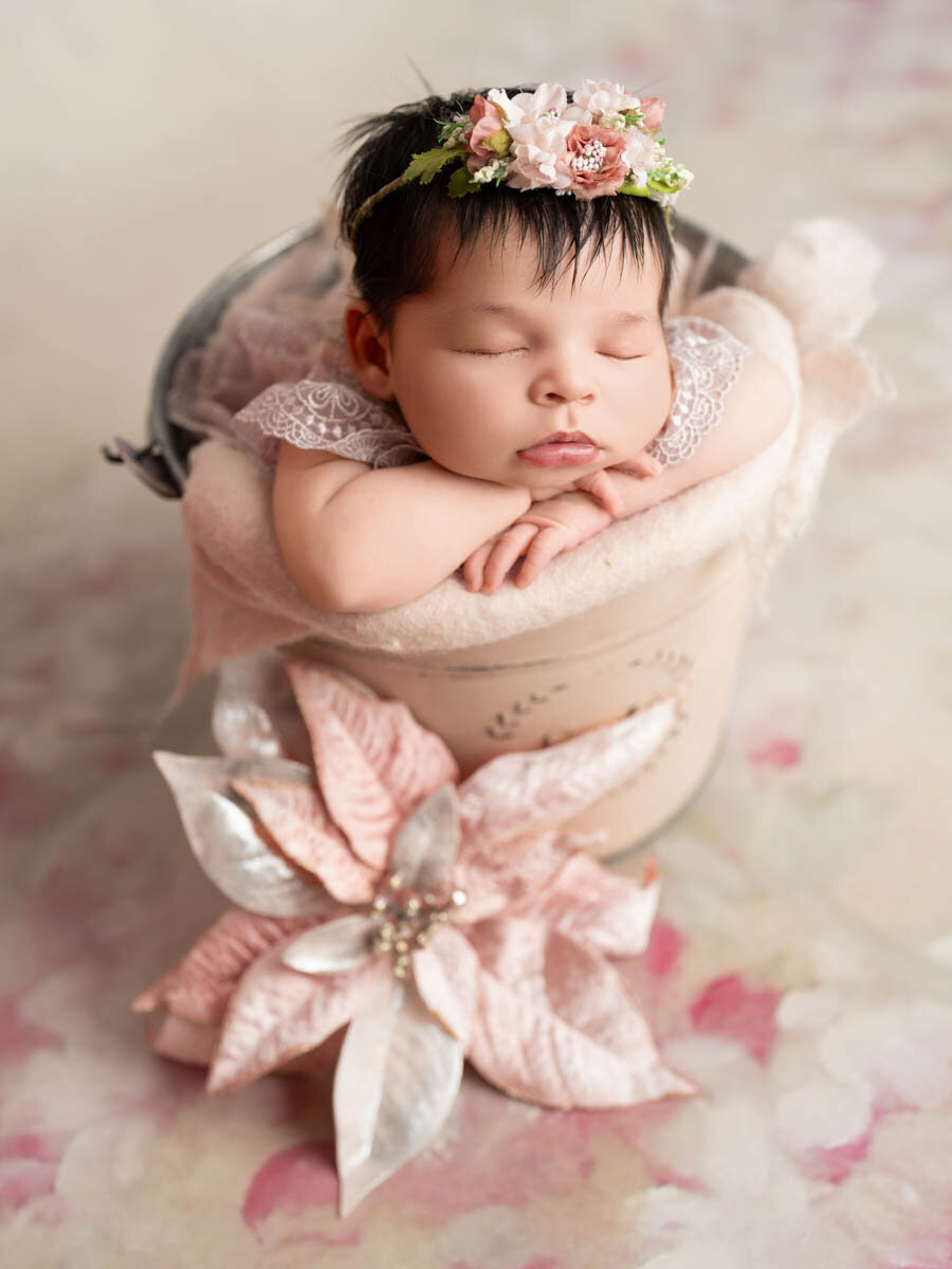 celebration-fl-newborn-studio-for-premium-portraits