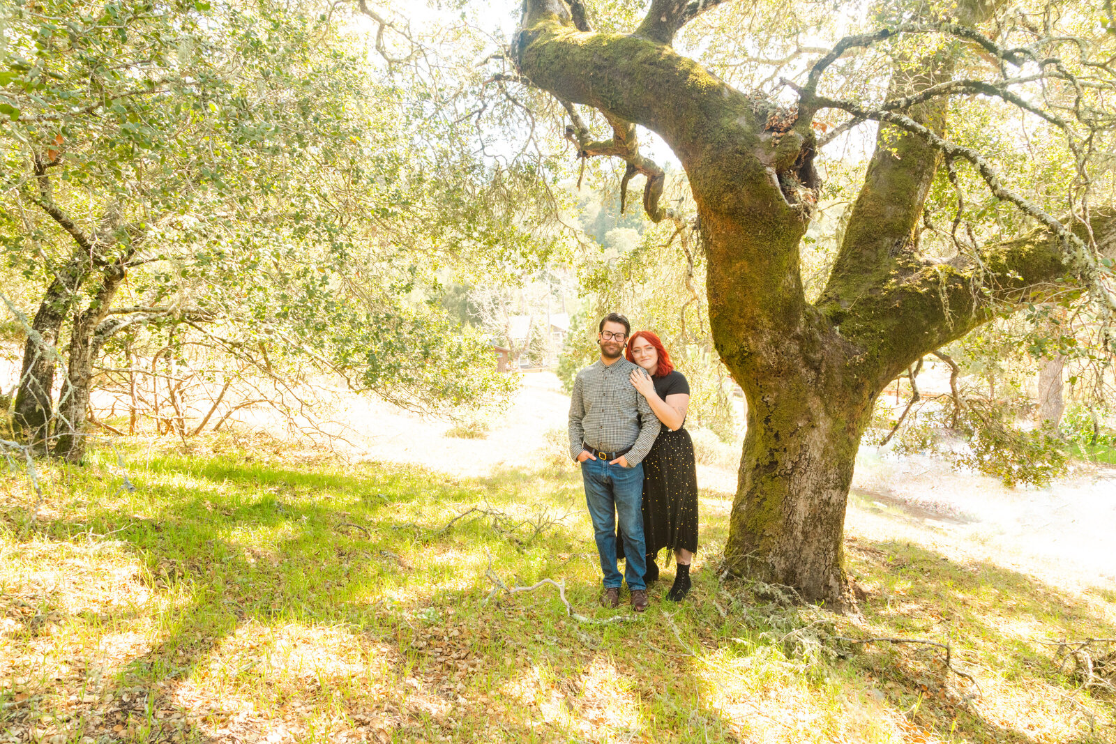 An tattooed engaged couple poses for photos in a redwood forest in Santa Cruz, Ca.