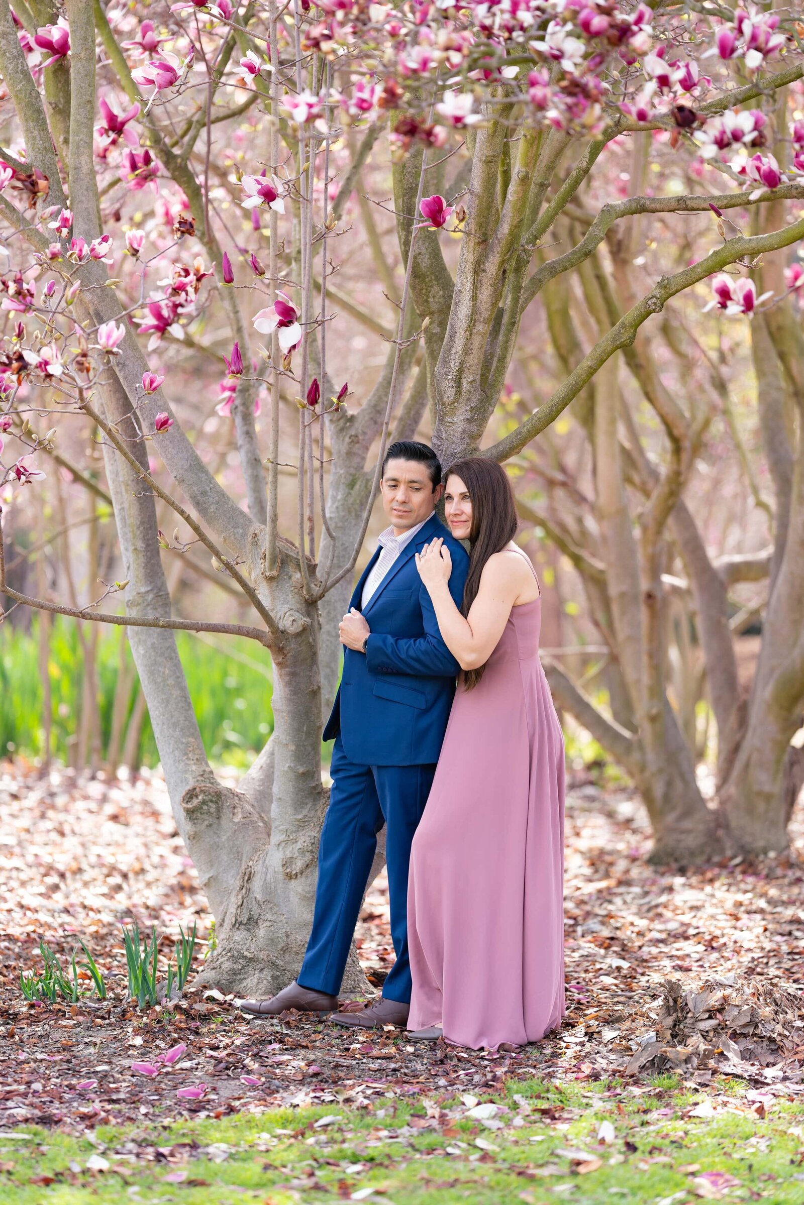 Engaged couple dressed in blue suite and mauve dress under magnolia tree.