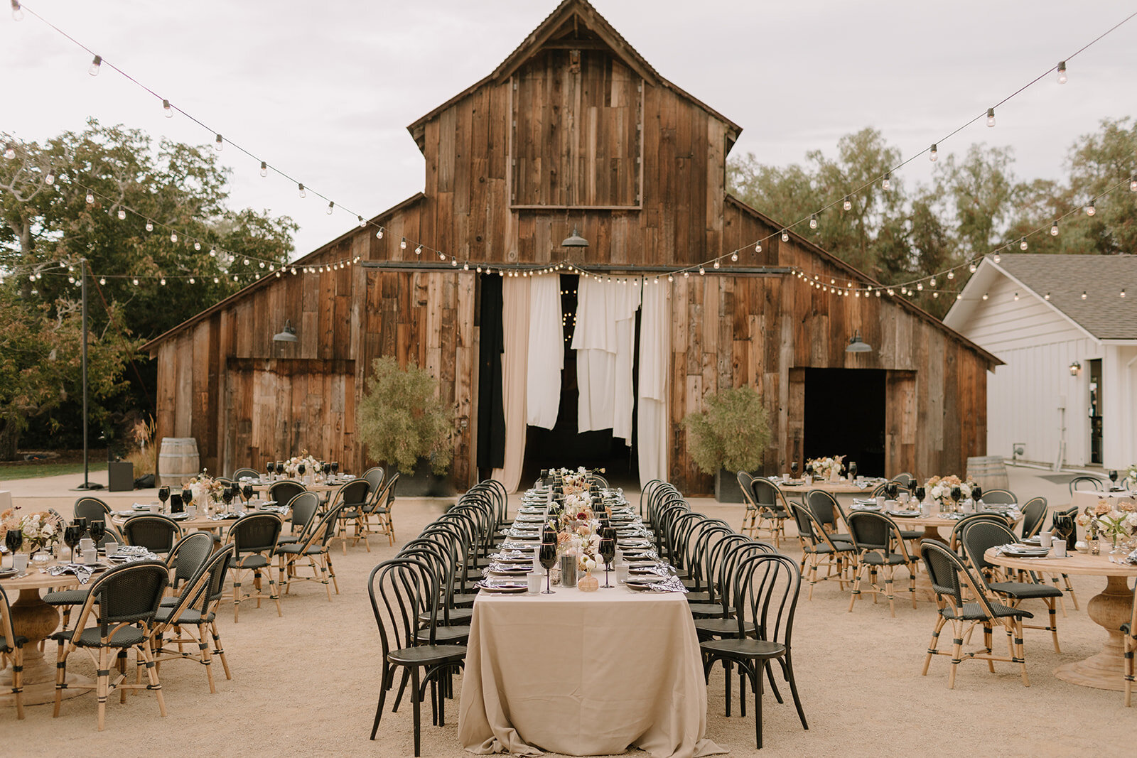 BrianaNolan_Wedding_LS_1-1433