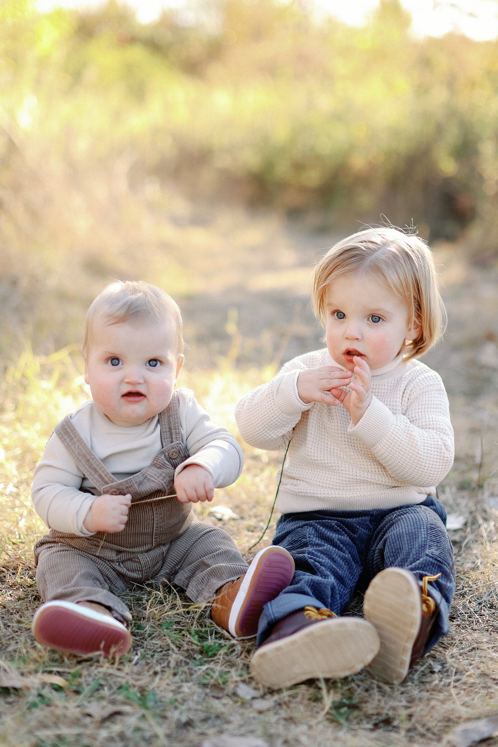 toddler brothers sitting in the grass for fall family photos