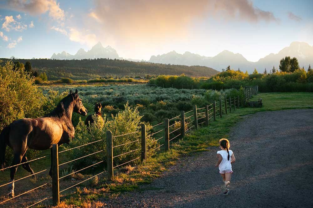 horses-mountains-colorado-girl-little-mustang-ranch