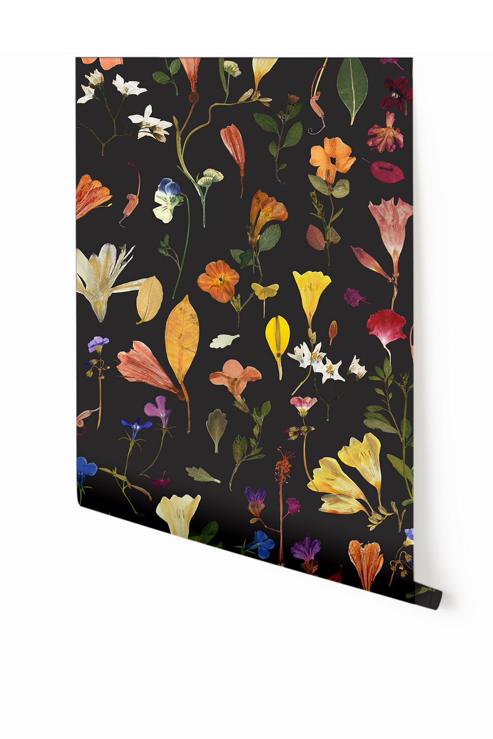 Surface Pattern Design and Art Licensing by Lucia Pador - Botanic Bloom for drop it Modern - botanic bloom black