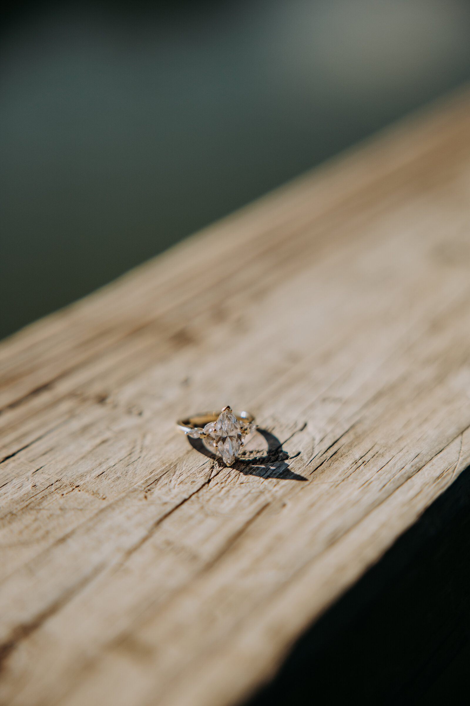 Rachel's engagement ring sitting on the railing over a pond, capturing a serene and romantic moment.