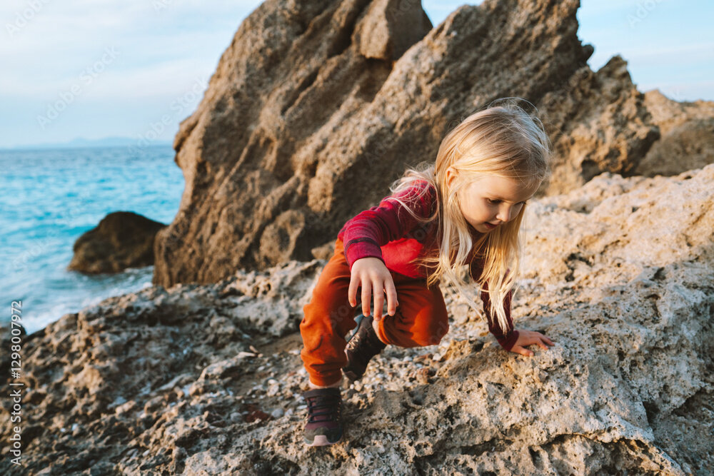 looking for starfish